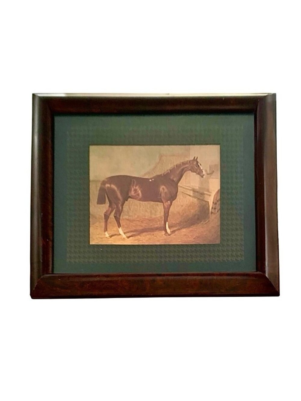 Horse Print Thoroughbred Vintage Equestrian Art Classic Decor